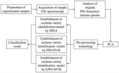 Rapid Identification of Soybean Varieties by Terahertz Frequency-Domain Spectroscopy and Grey Wolf Optimizer-Support Vector Machine